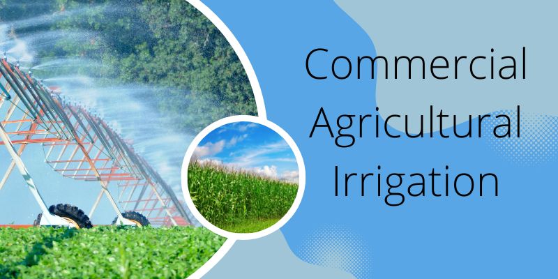 Commercial Agricultural Irrigation Part 1: Selecting the Right Pump